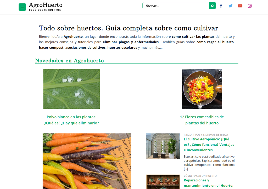 Agrohuerto Blog: Sowing ecological ideas in the digital heart